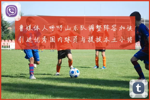 鲁媒体人呼吁山东队调整阵容加快引进优秀国内球员与提拔本土小将