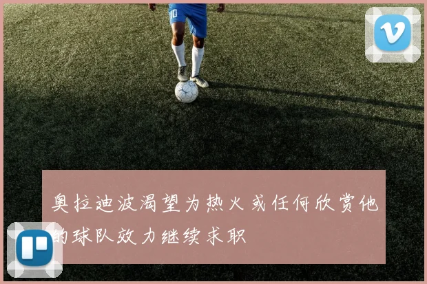 奥拉迪波渴望为热火或任何欣赏他的球队效力继续求职